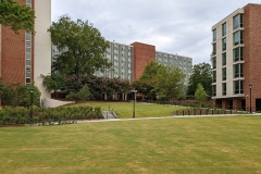 Courtyard/Lawn Area (August 10, 2022)