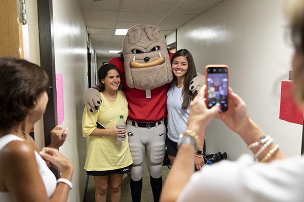 uga dawg house portal